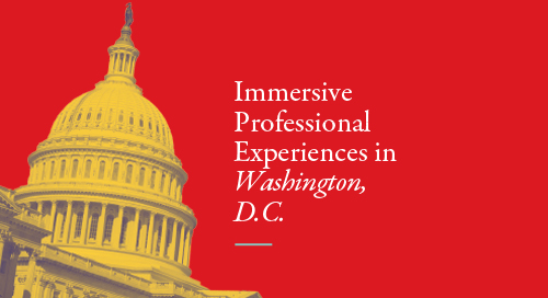 Immersive Professional Experiences in D.C.