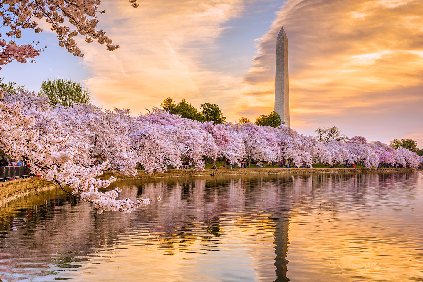 Why Spring Is A Great Time to Be a D.C. Intern