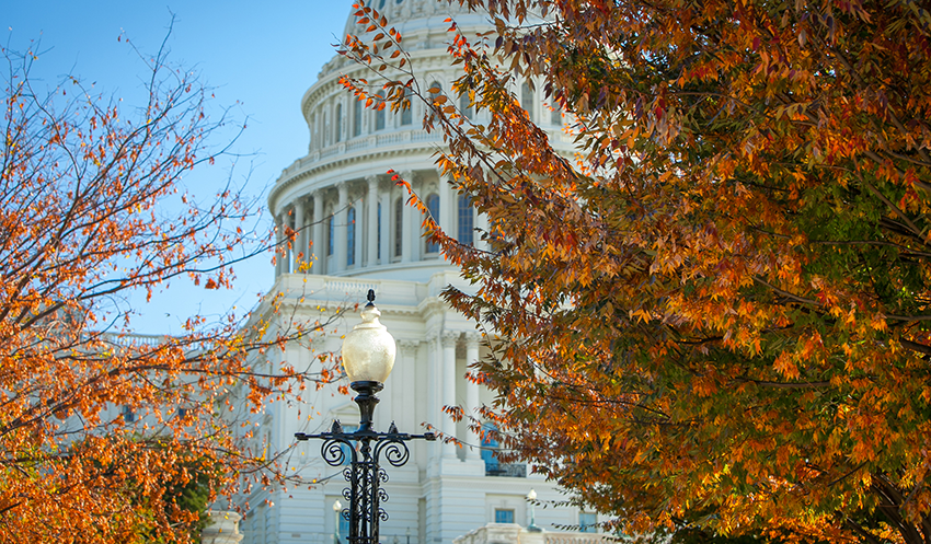 Shot of foliage in front of the capitol during the Fall