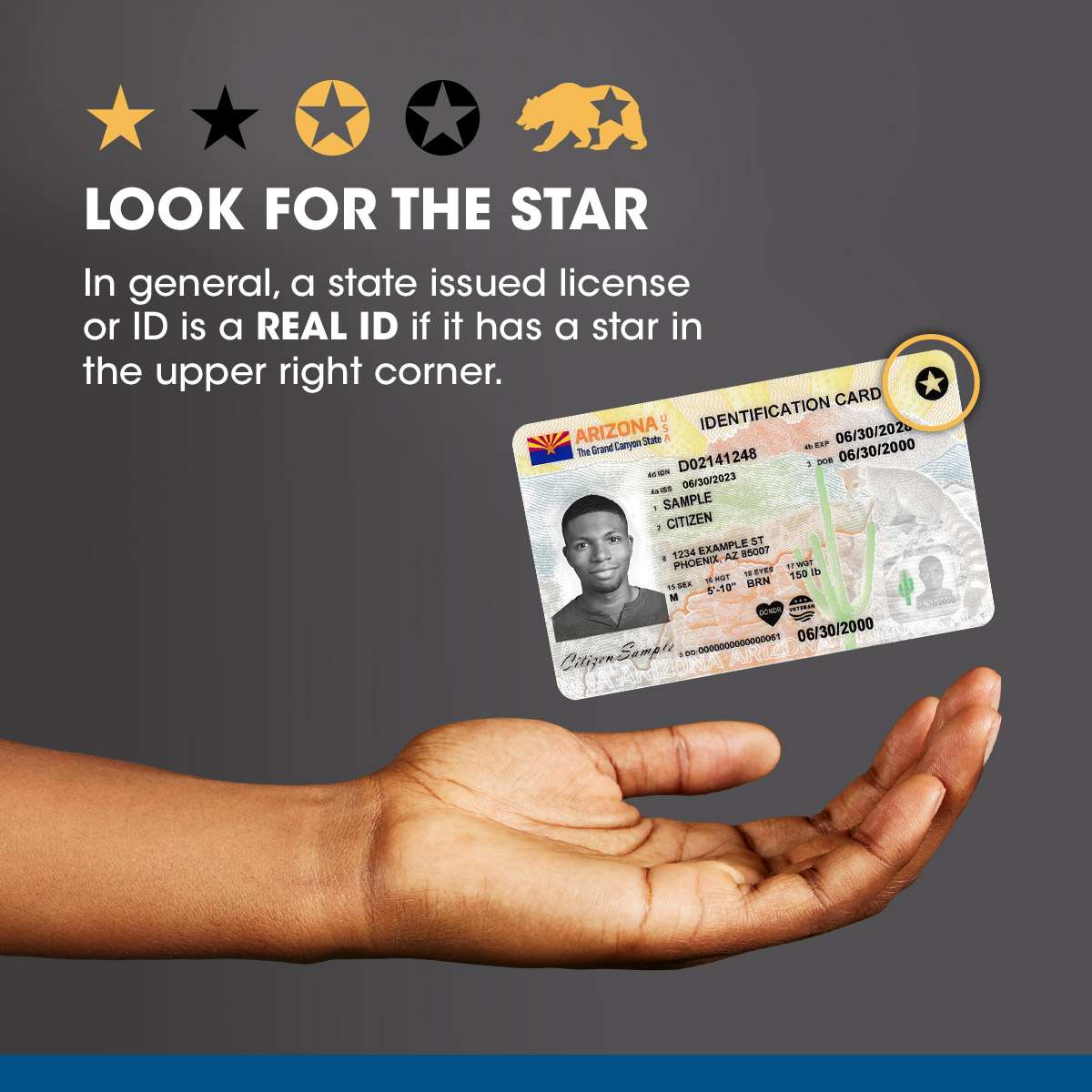 U.S. Federal Government guidance on REAL ID for domestic travel