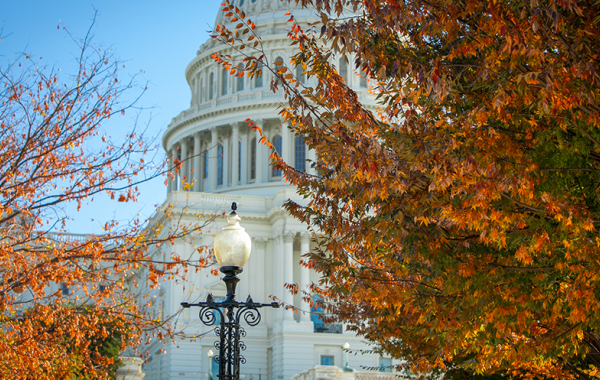 Shot of foliage in front of the capitol during the Fall Shot of foliage in front of the capitol during the Fall