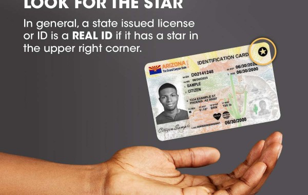 U.S. Federal Government guidance on REAL ID for domestic travel