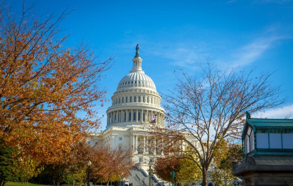 The U.S. Capitol Building The U.S. Capitol Building