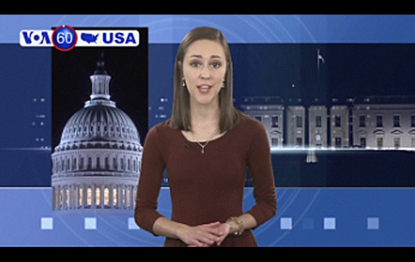 A Week in the Life of a D.C. News Intern