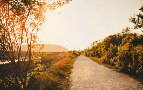 New Career Path New Career Path