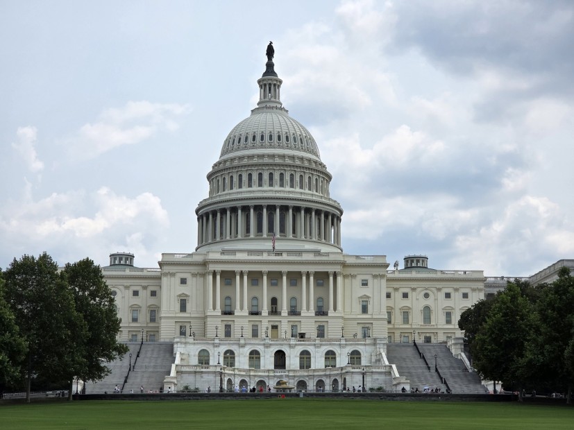 The Capitol Building in Washington, D.C.