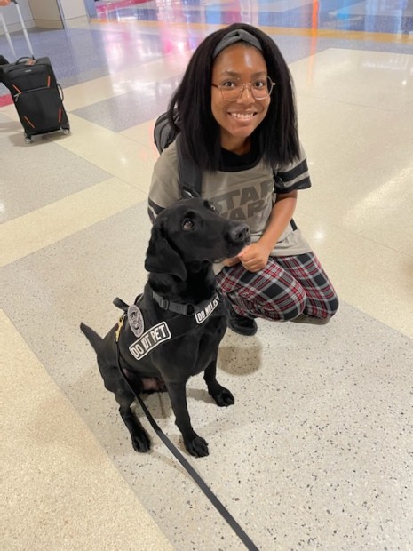 K9 Decoy Training at the Dallas-Fort Worth airport