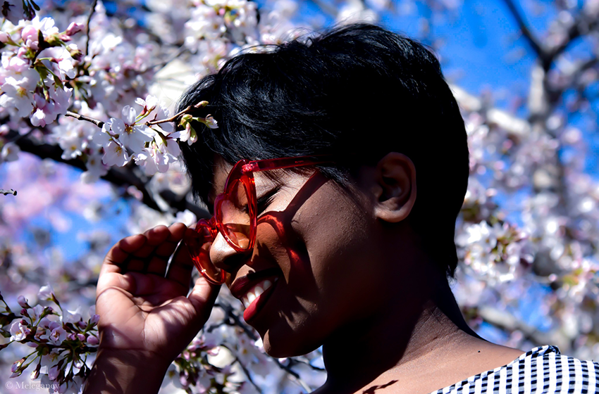 Melanie at the Tidal Basin during the cherry blossom festival