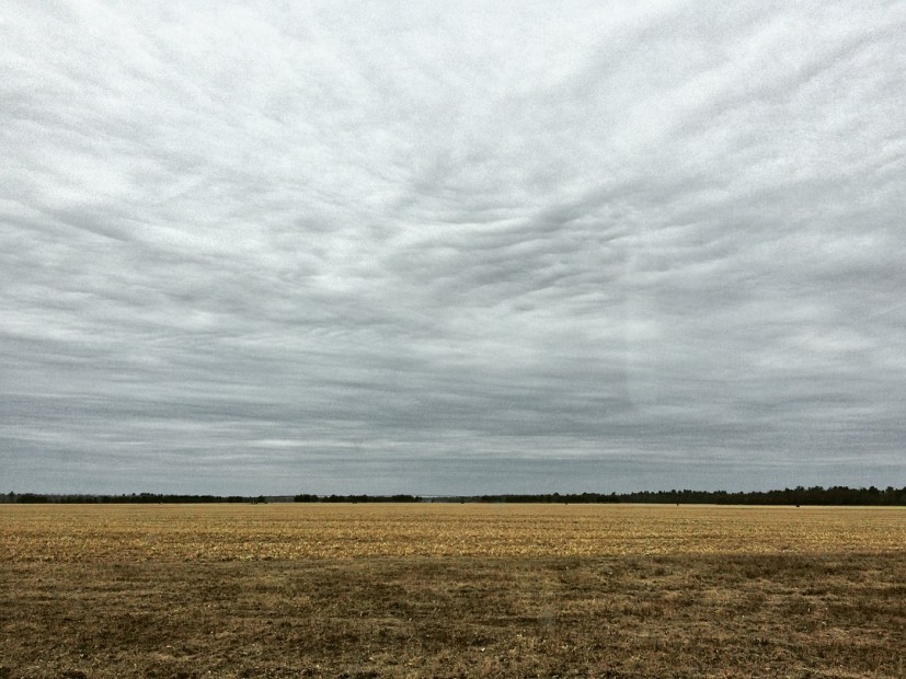 The vast fields of Wisconsin are a stark contrast to the busy streets of D.C.