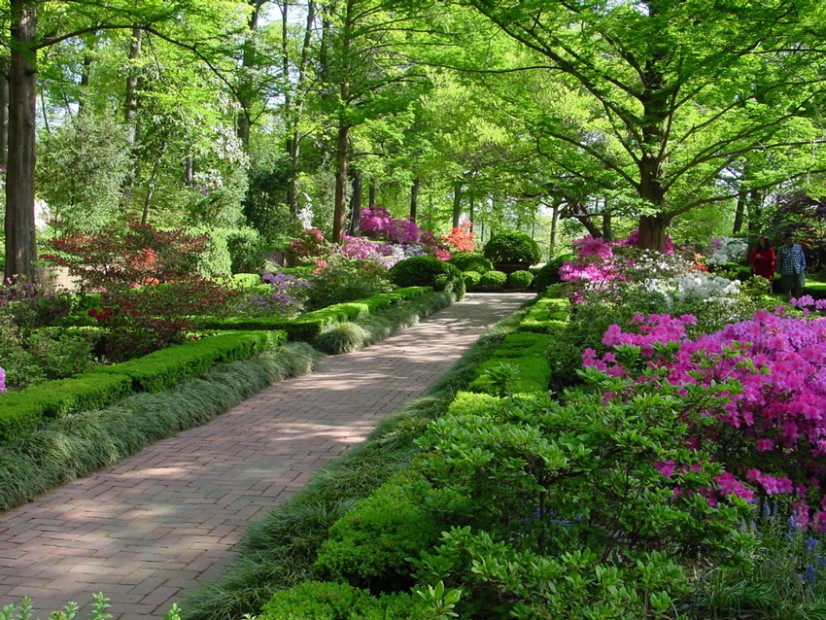 Retreat from the city streets at the U.S. National Arboretum.